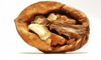 Полезные свойста грецкого ореха